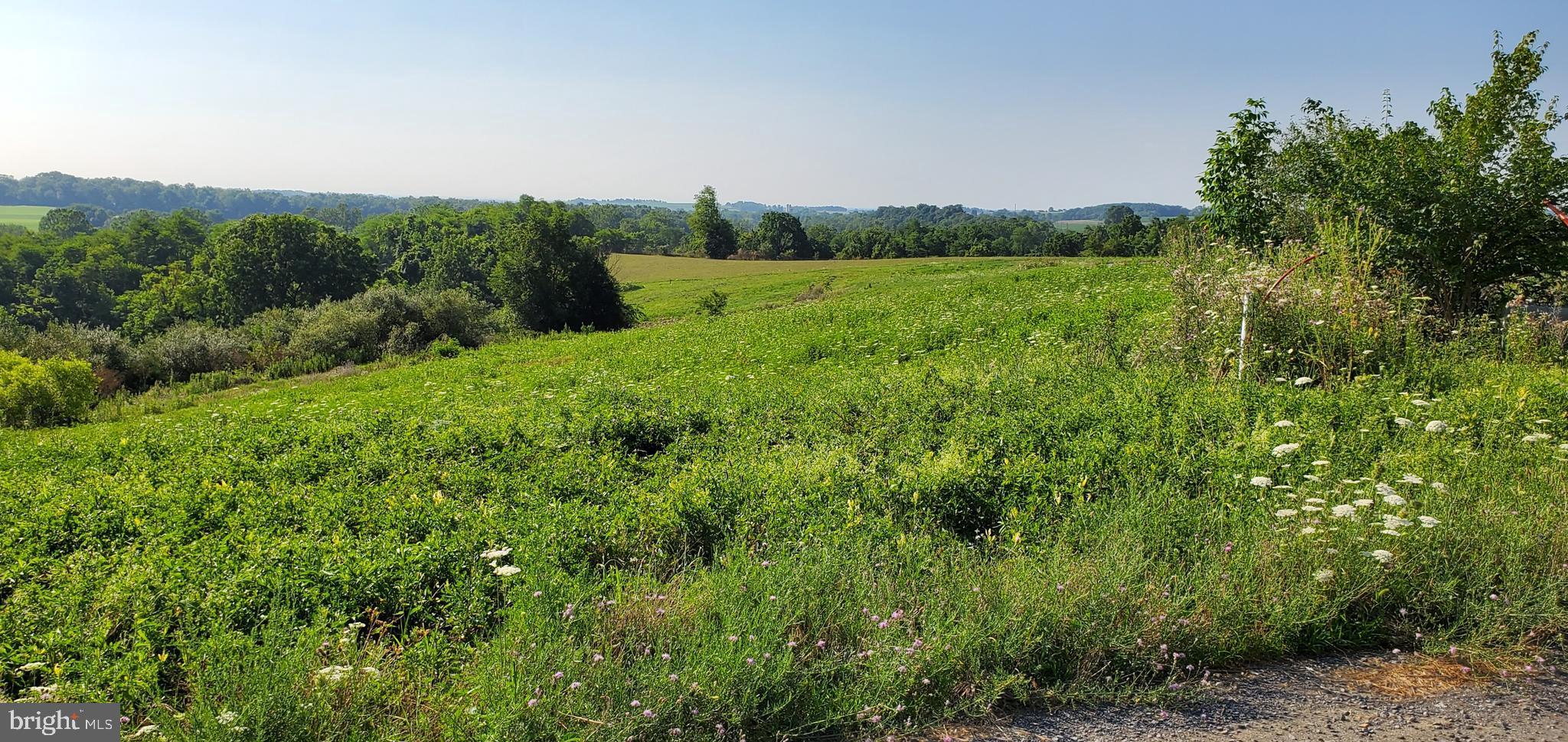 LOUDON'S VIEW - Land