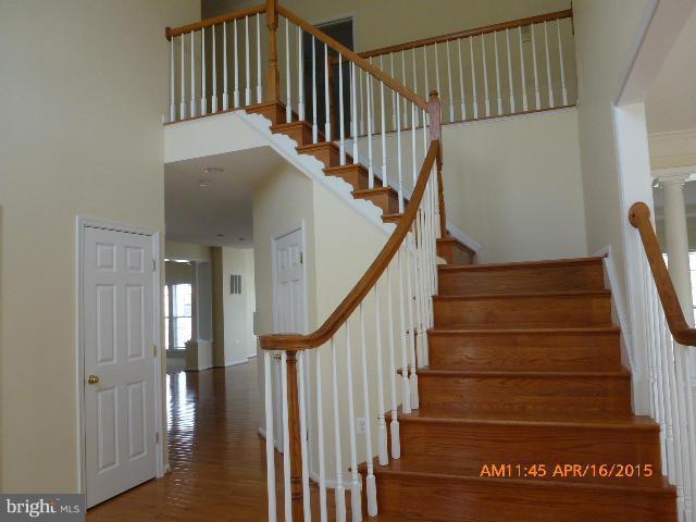 THE GALLERY - Residential