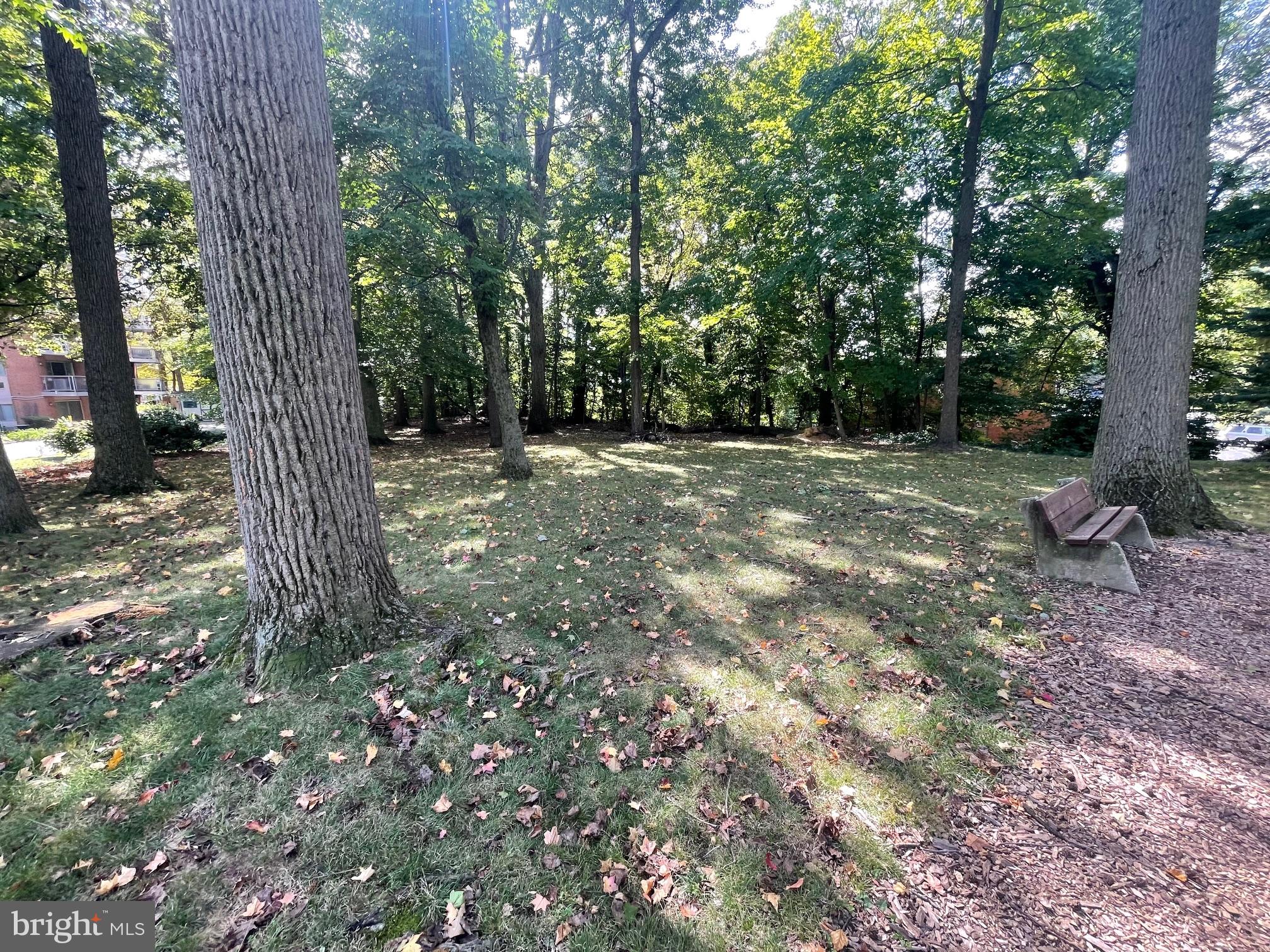 1100 LORE AVENUE 509