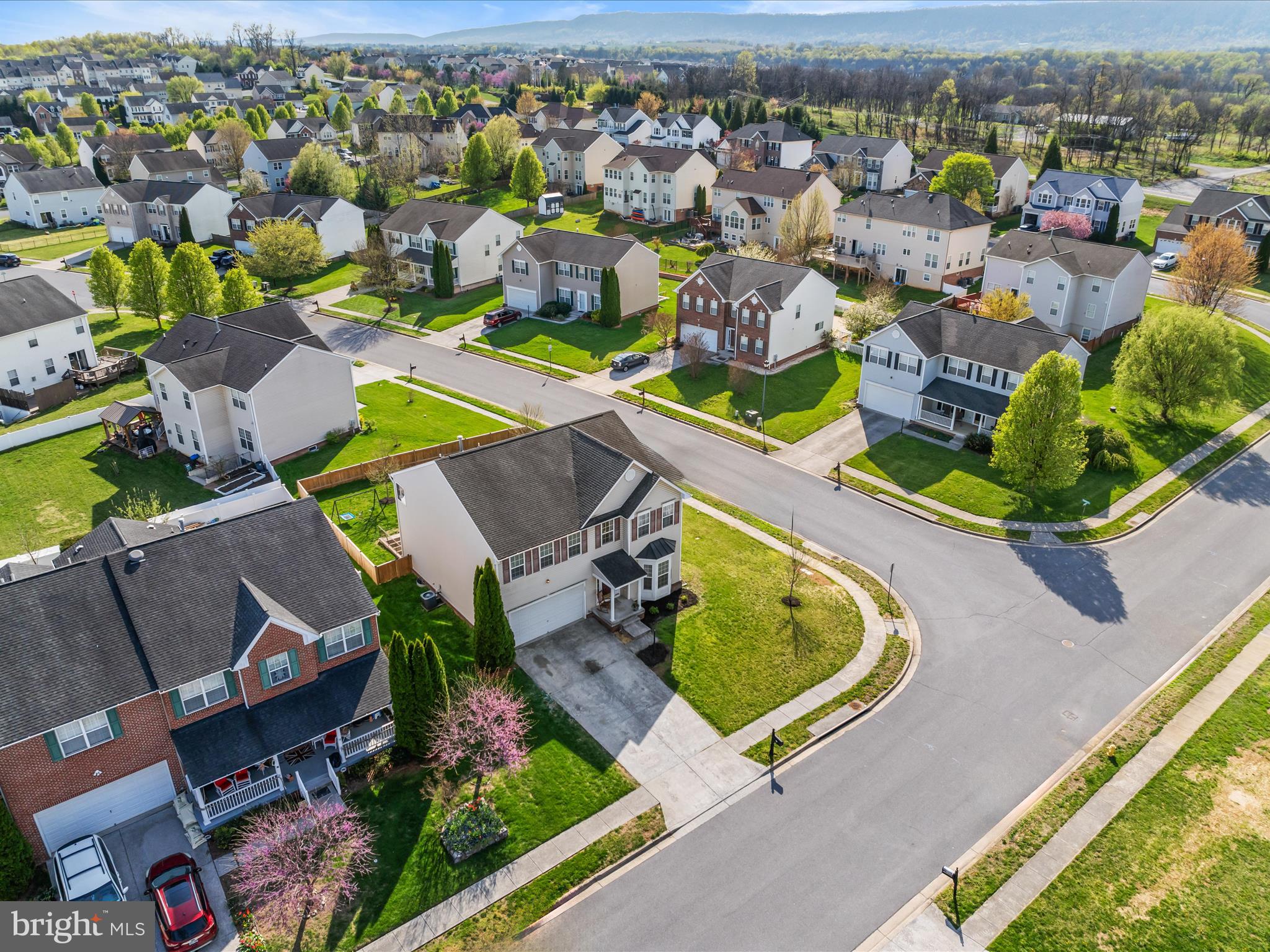 THE GALLERY - Residential