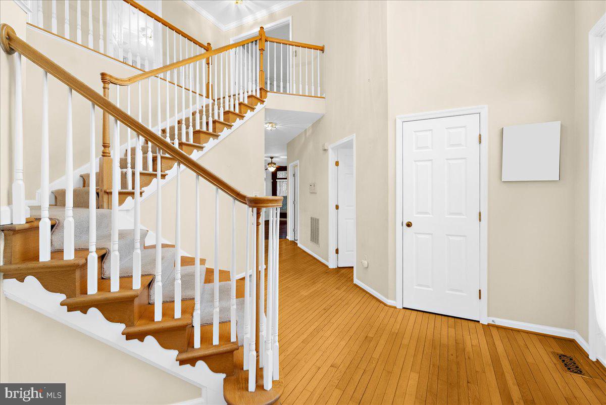 BELTSVILLE - Residential