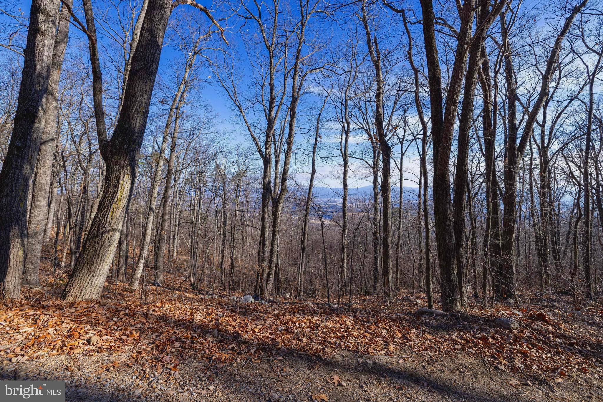 F22 & F23 HIGH PINES ROAD