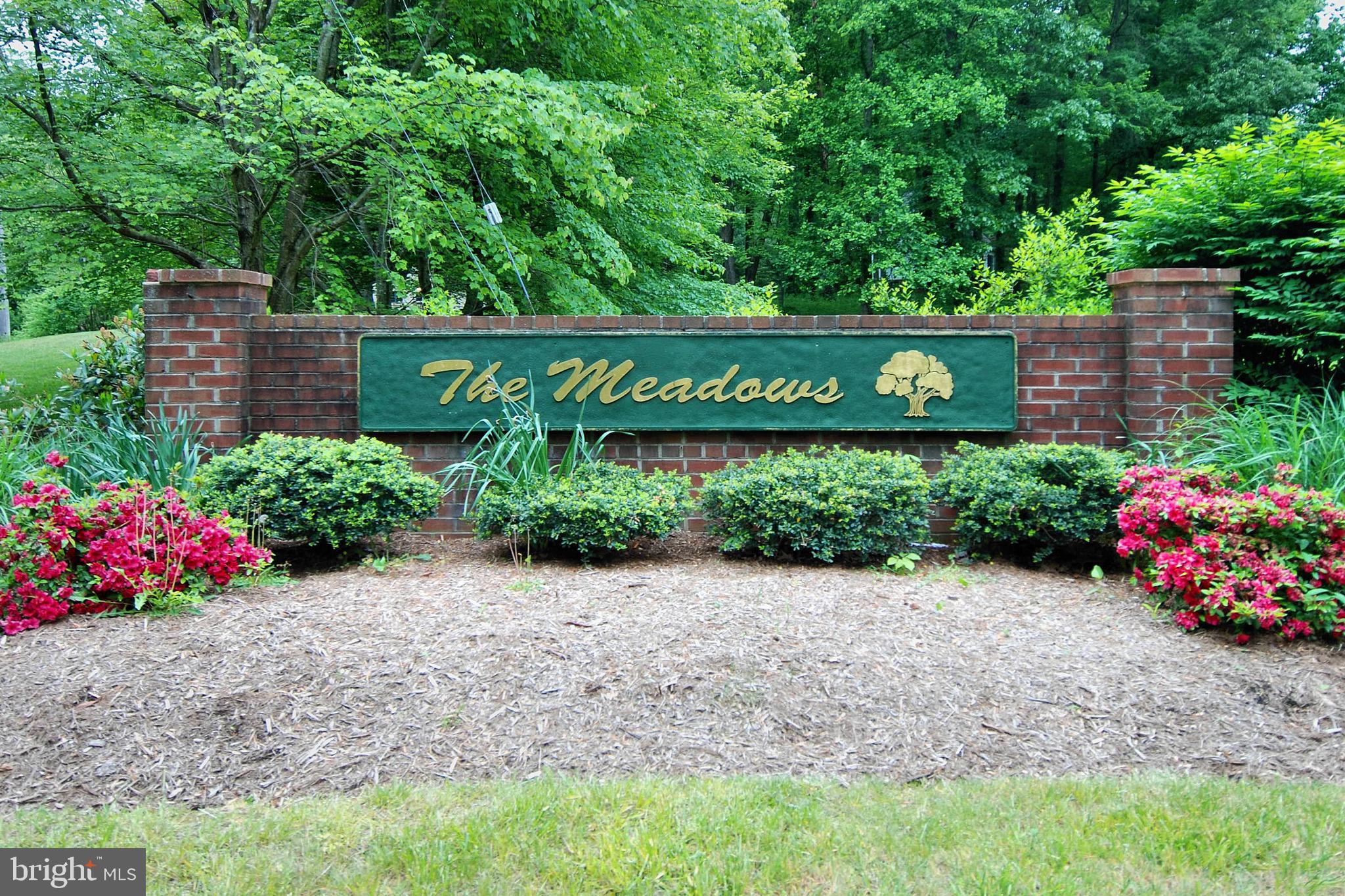 THE MEADOWS - Residential