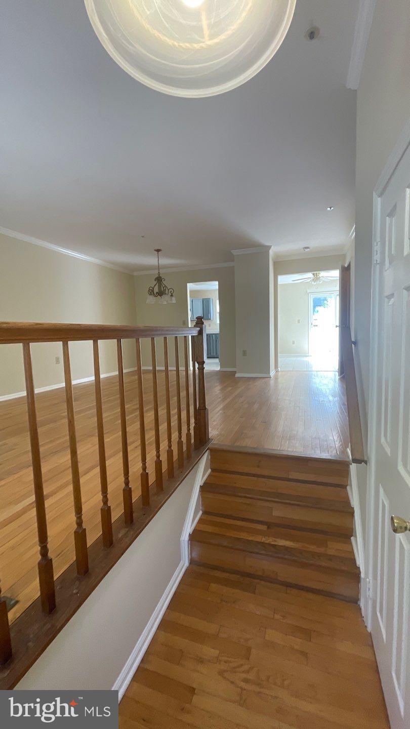 3219 SCARLET OAK TERRACE