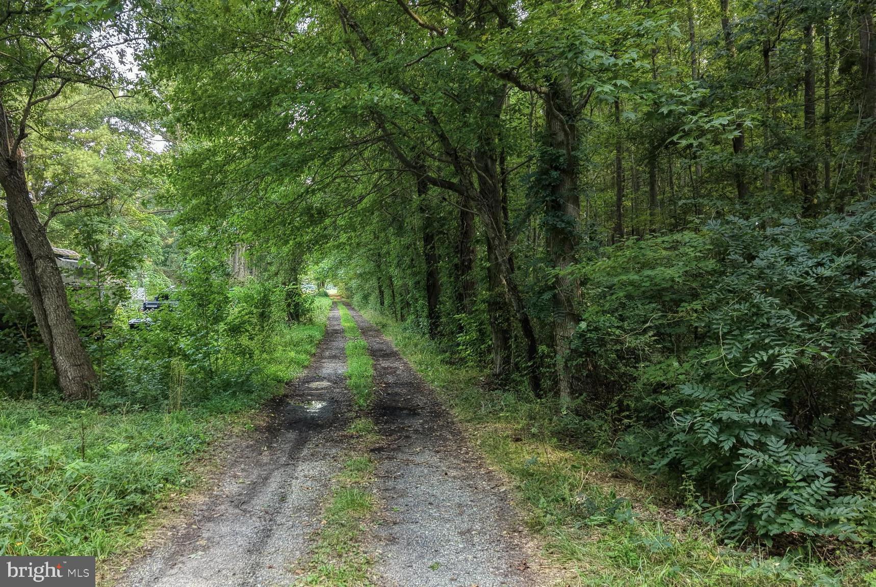 111 THICKET ROAD