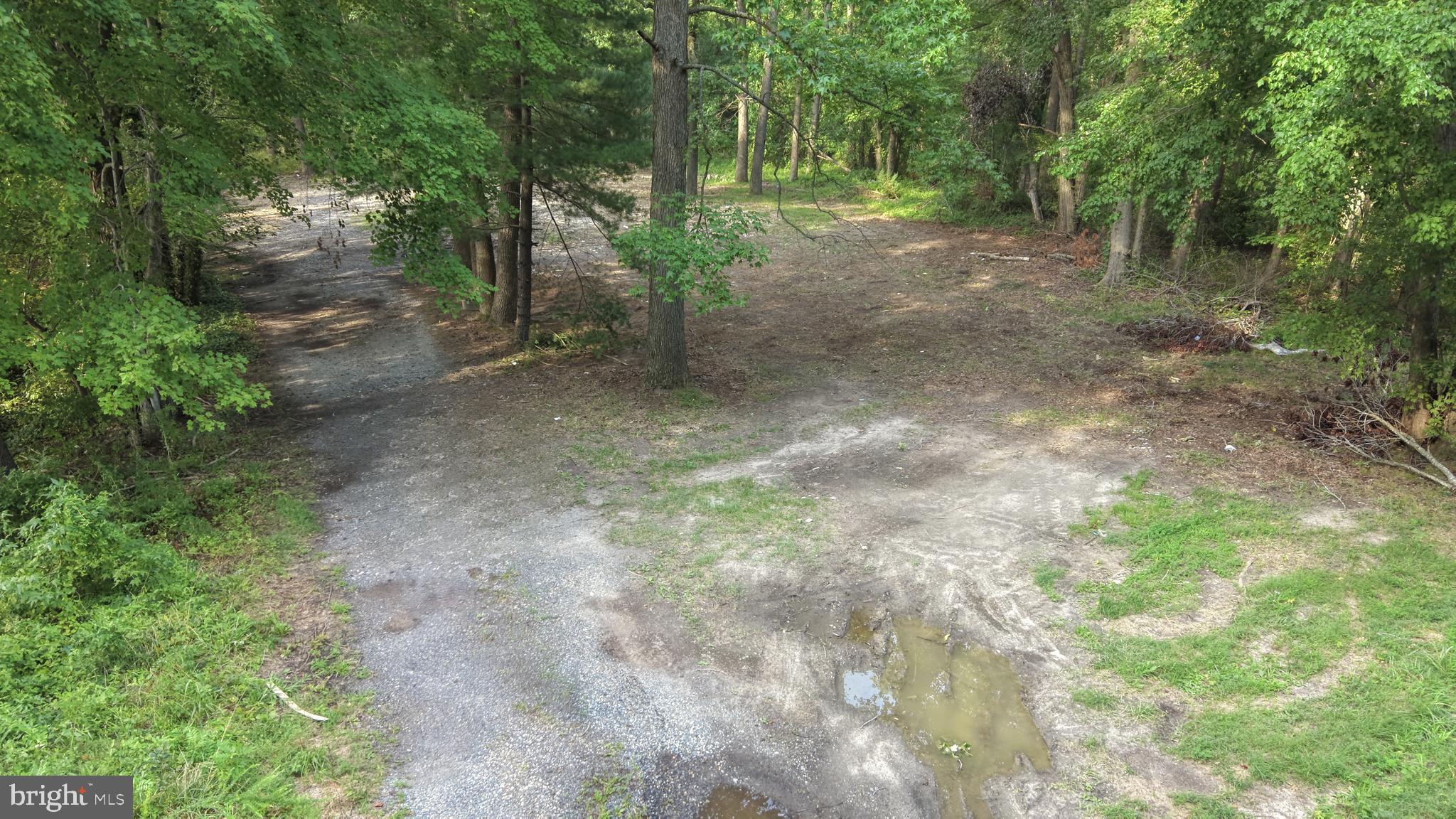 111 THICKET ROAD