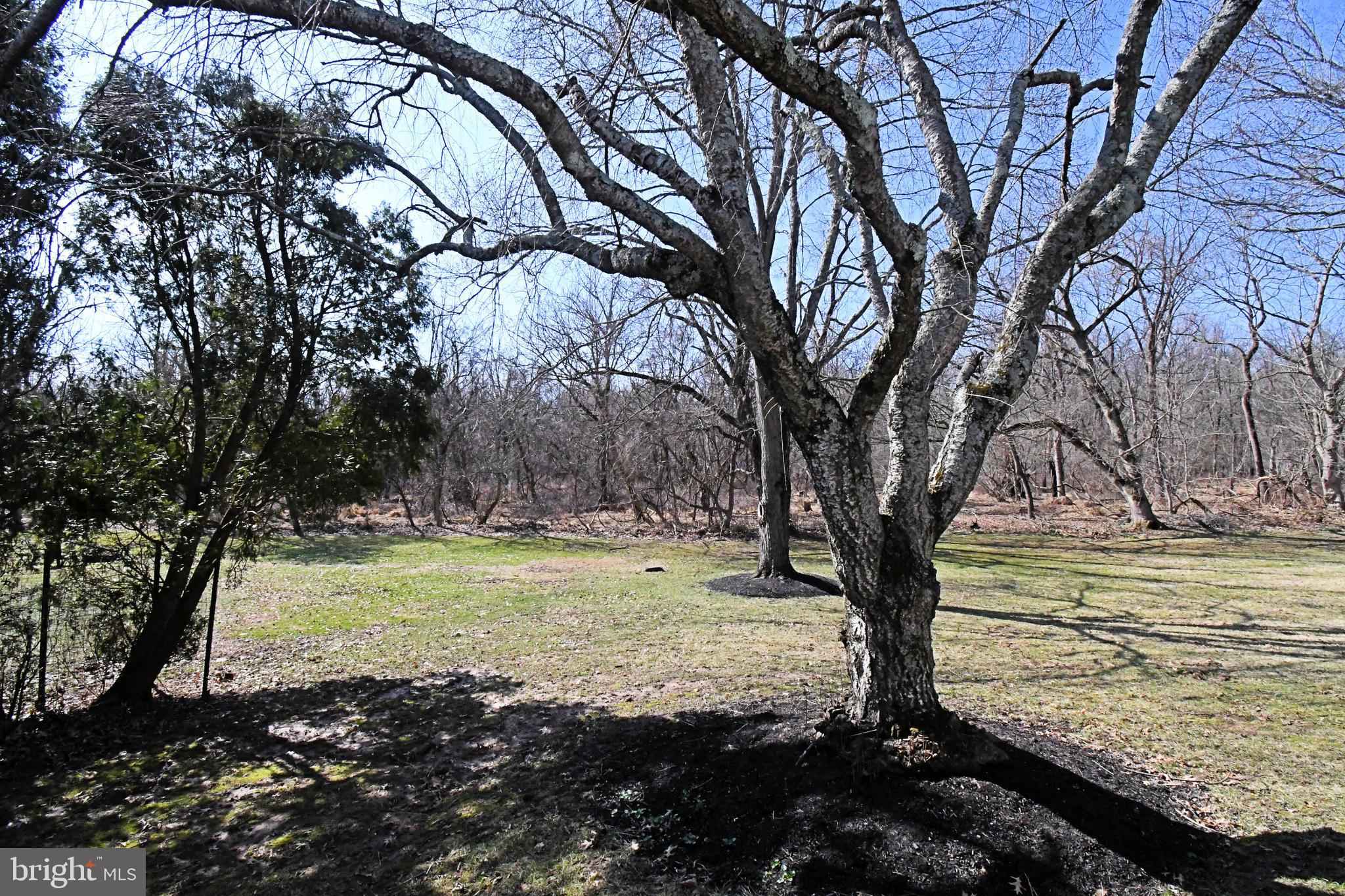 NEWTOWN CROSSING - Residential