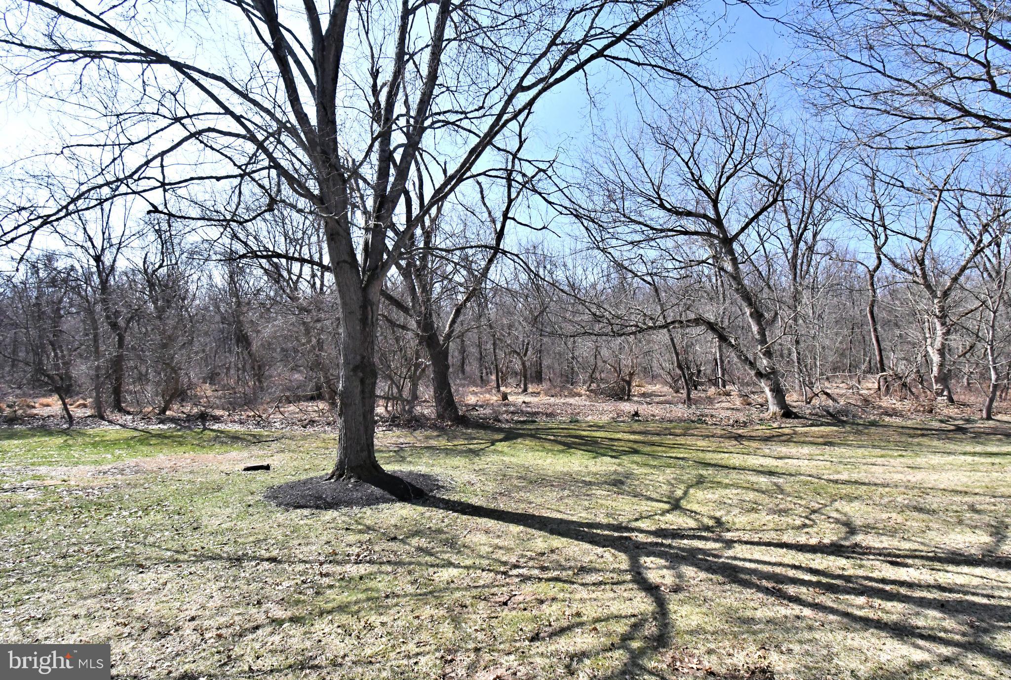 NEWTOWN CROSSING - Residential