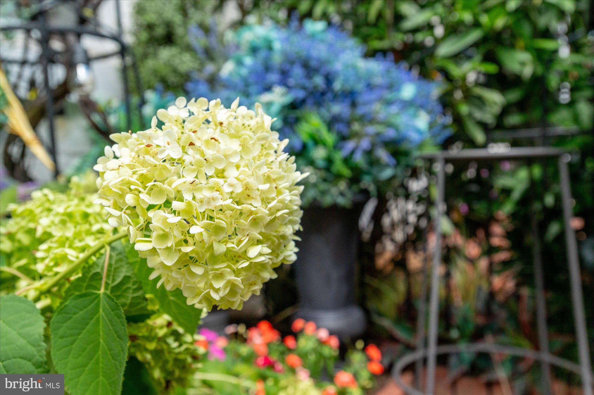 ST JOHNS SQUARE - Residential