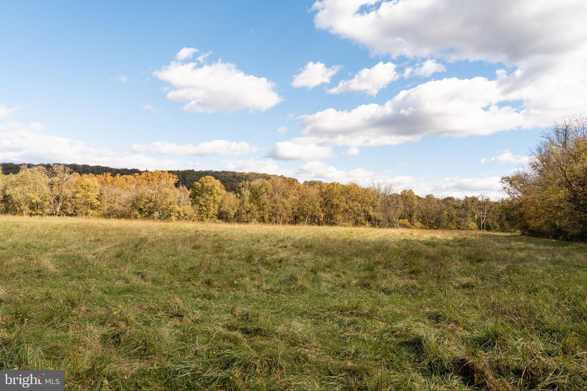 326 THUNDERBIRD ROAD