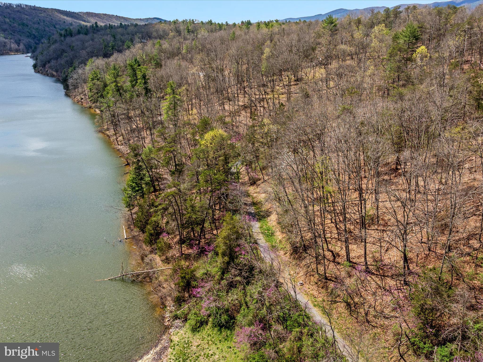 BRYCE HILL CONDOS - Residential