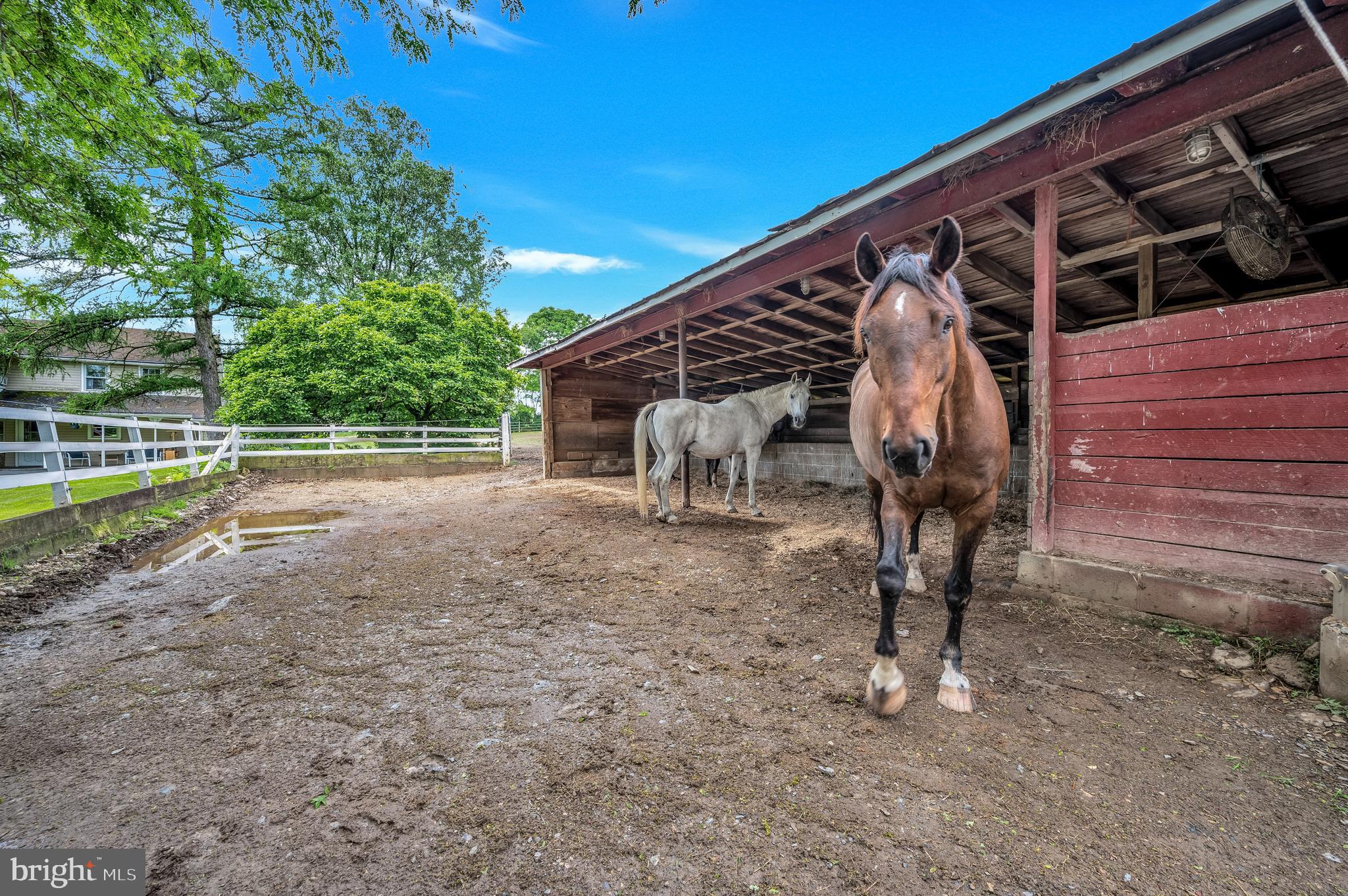 NONE AVAILABLE - Commercial Sale
