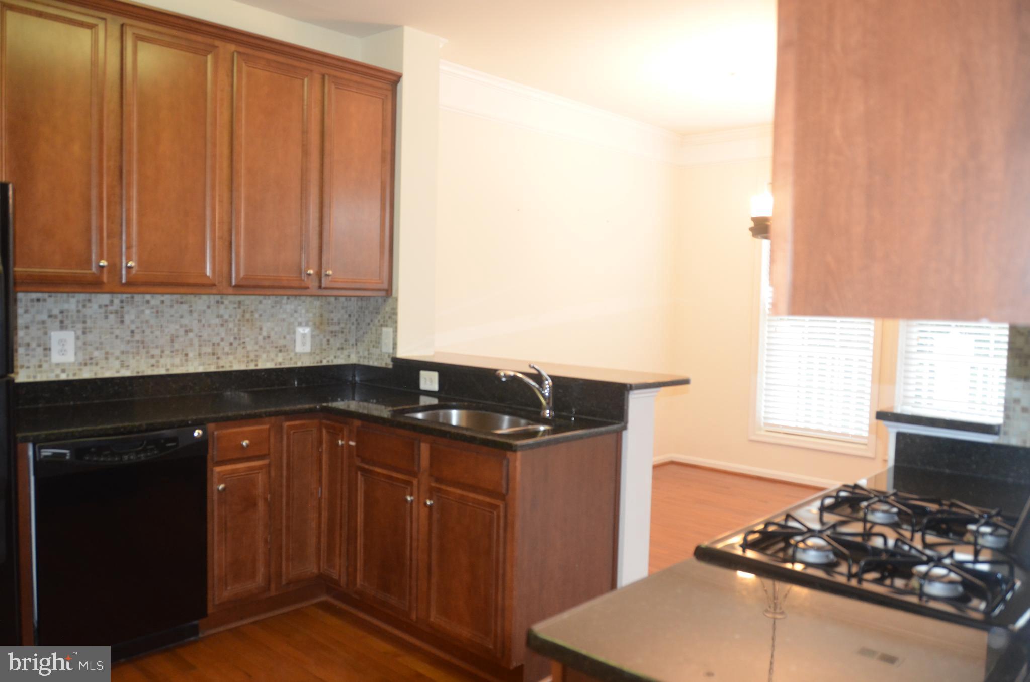 STONE SPRINGS CONDOMINIUMS - Residential Lease