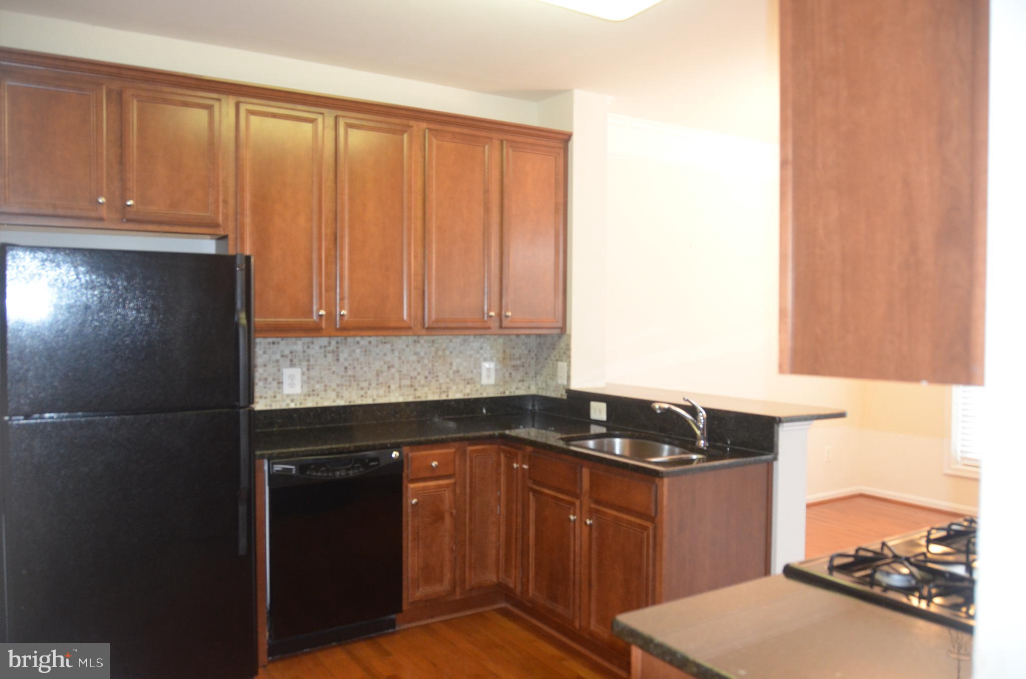 STONE SPRINGS CONDOMINIUMS - Residential Lease