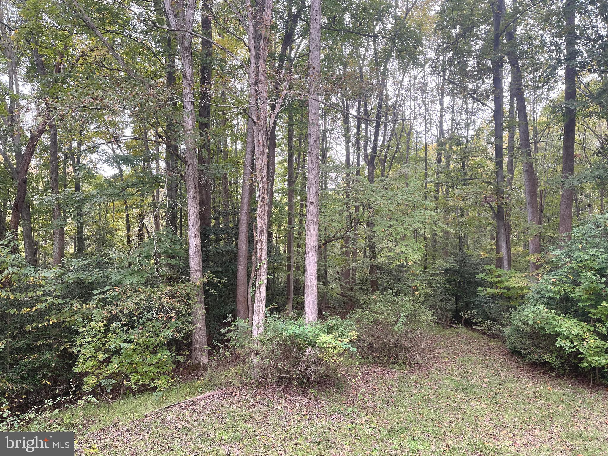 LANCASTER HILL - Residential