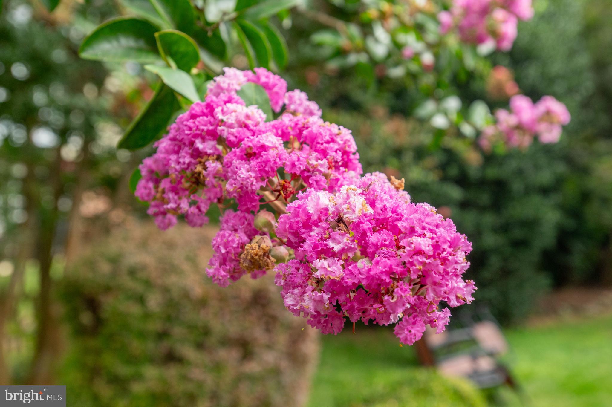 WOODLEY GARDENS - Residential