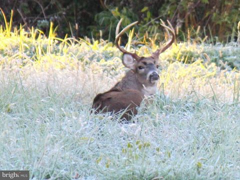 Sparks Corner SPARKS MILL AT ROUTE 213 ROAD CENTREVILLE MD 21617