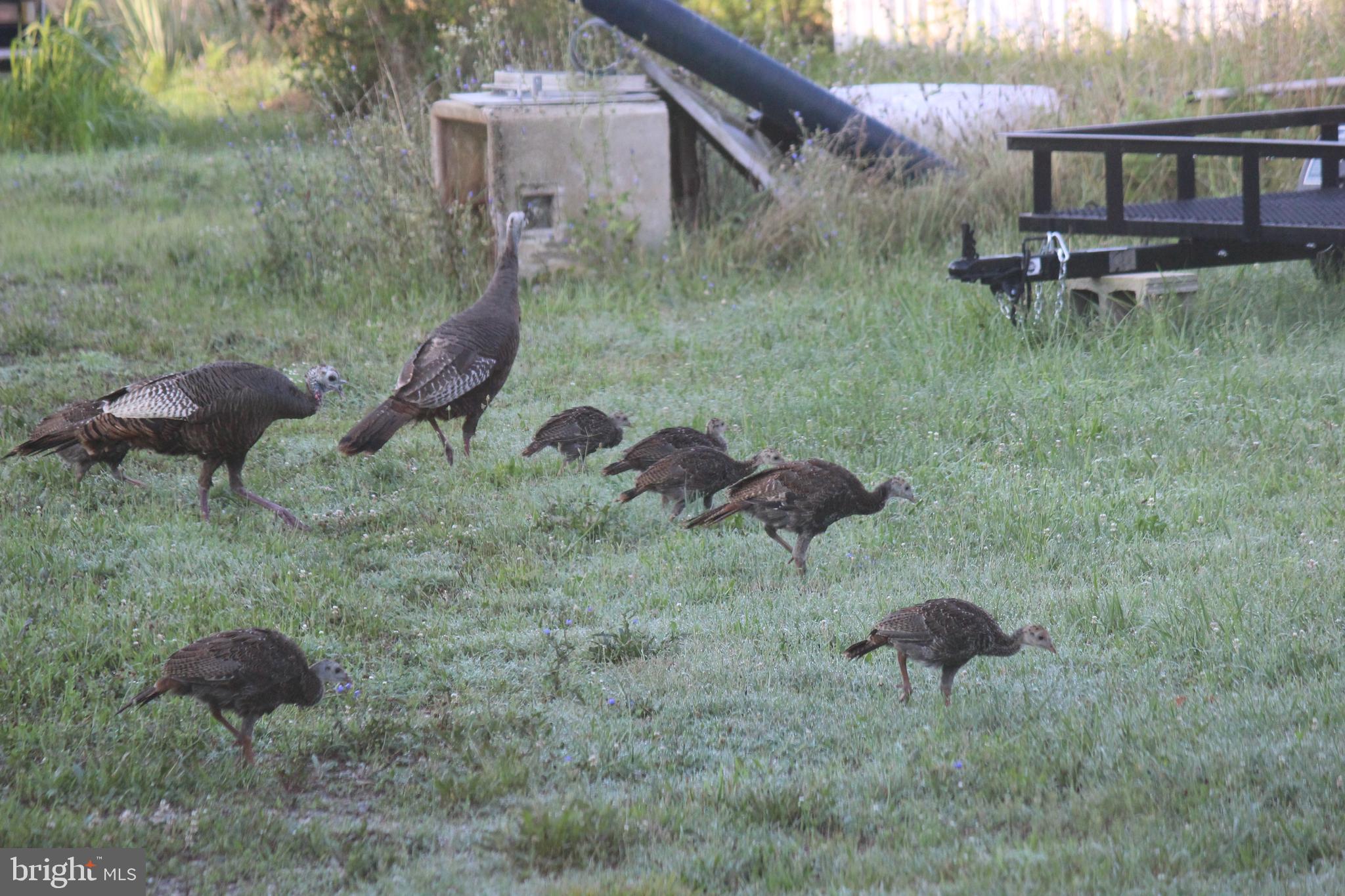 Sparks Corner SPARKS MILL AT ROUTE 213 ROAD