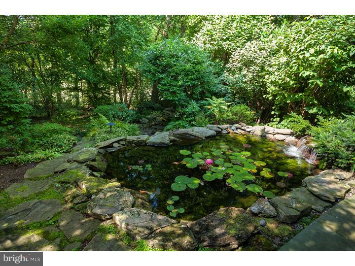 CHESTNUT HILL - Residential