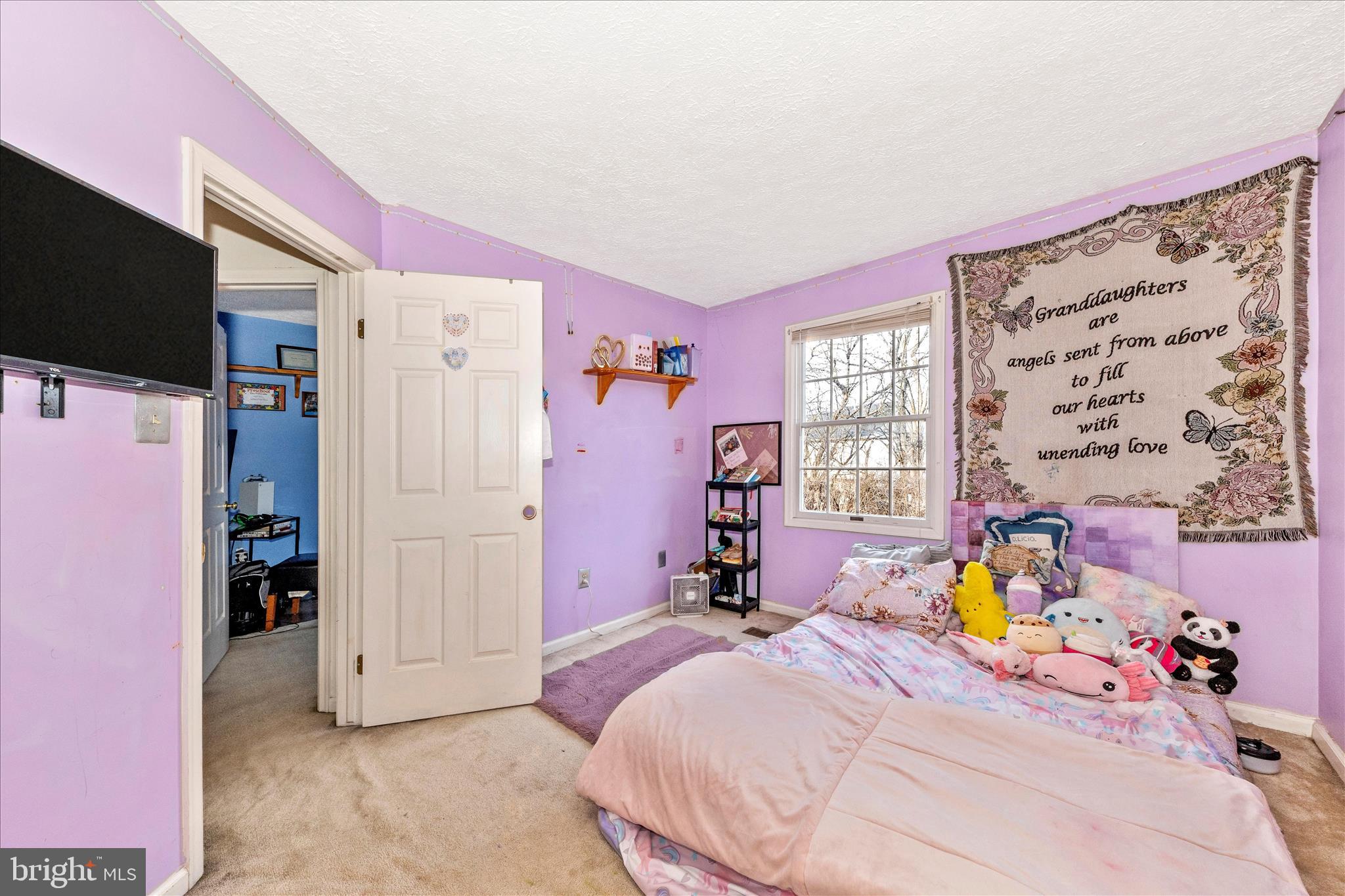 BALLENGER CREEK MEADOWS - Residential