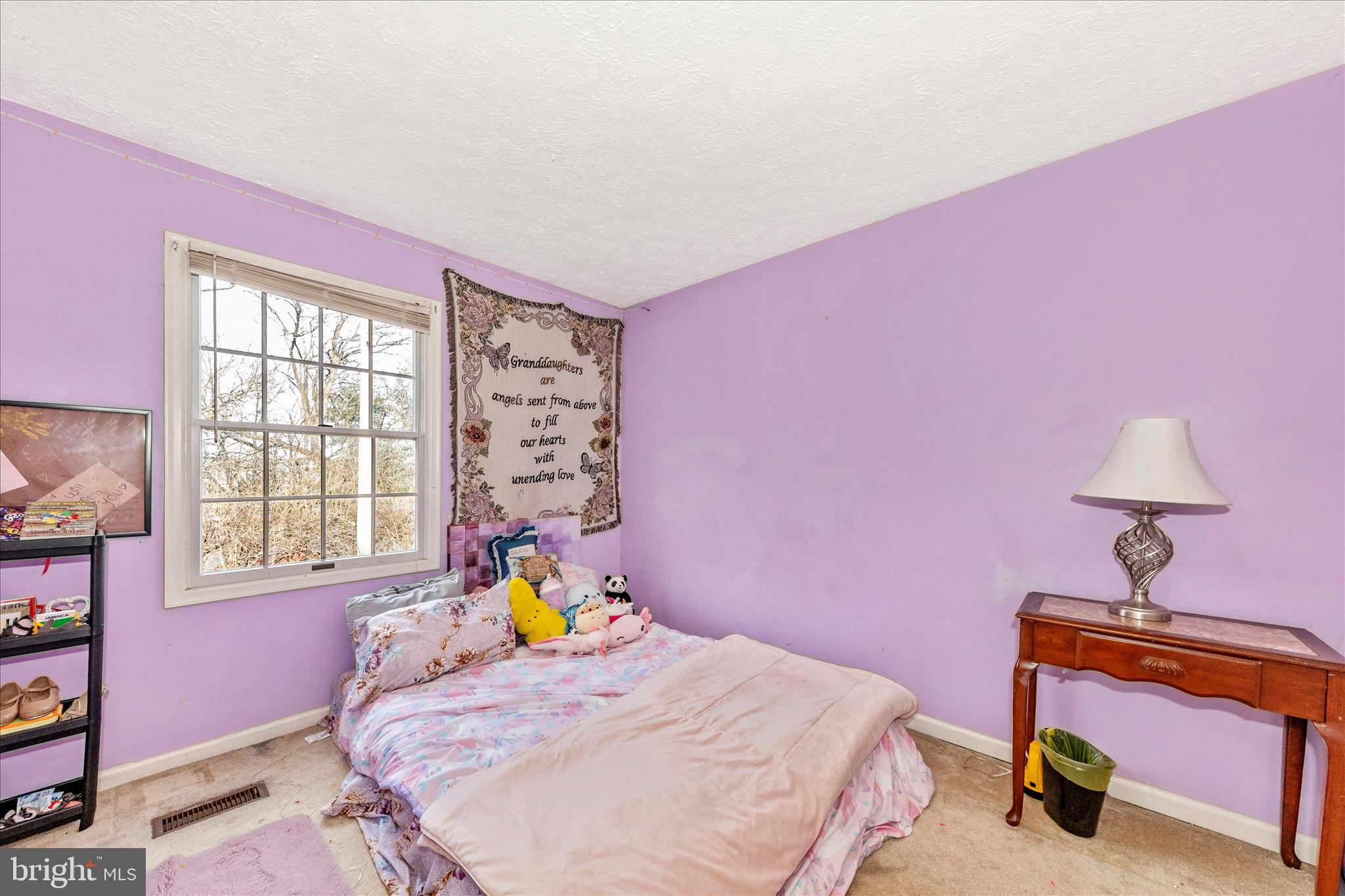 BALLENGER CREEK MEADOWS - Residential