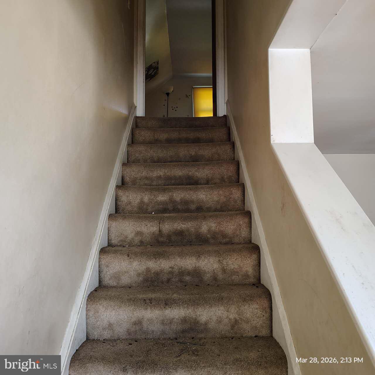 CARNEY - Residential