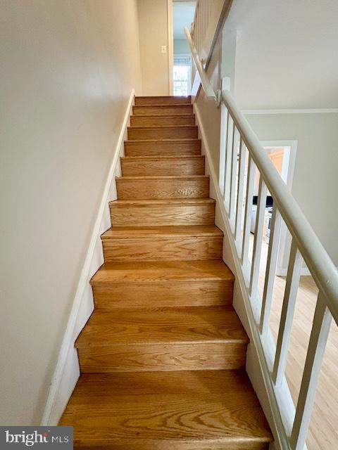 ARLINGTON VILLAGE - Residential Lease