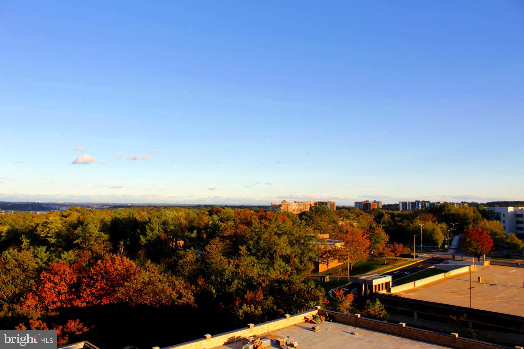 SKYLINE HOUSE - Residential Lease