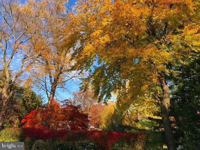 WEST LEWINSVILLE HEIGHTS - Residential