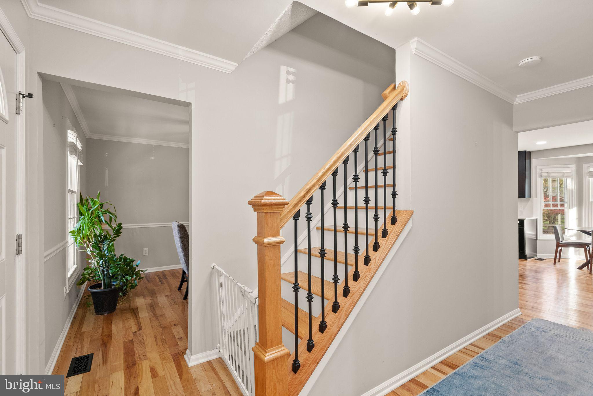 CABIN BRANCH FOREST - Residential