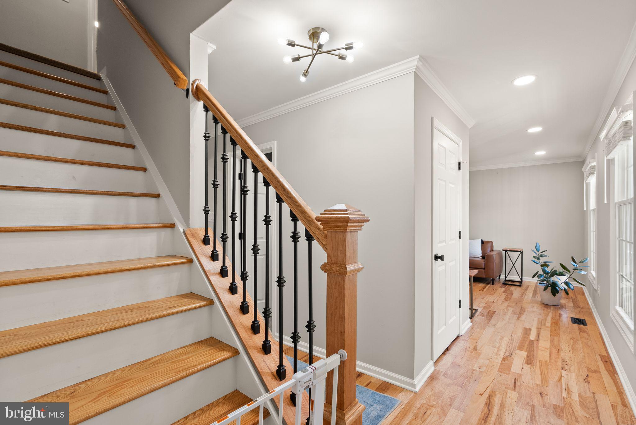 CABIN BRANCH FOREST - Residential