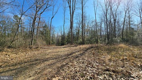 Vacant Land For Sale - L9 26 28 29 33 Burden Hill<br/> Salem County, SALEM, NJ 08079