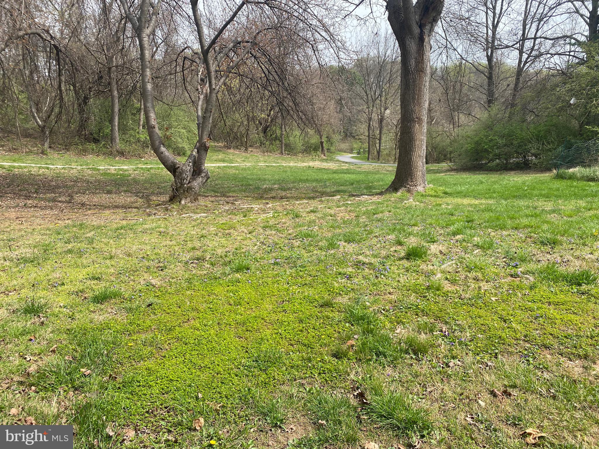 THUNDER HILL - Residential Lease