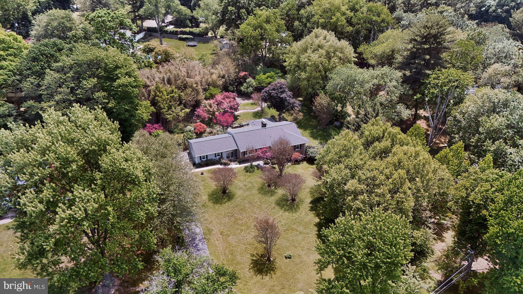 ANCIENT OAK - Residential