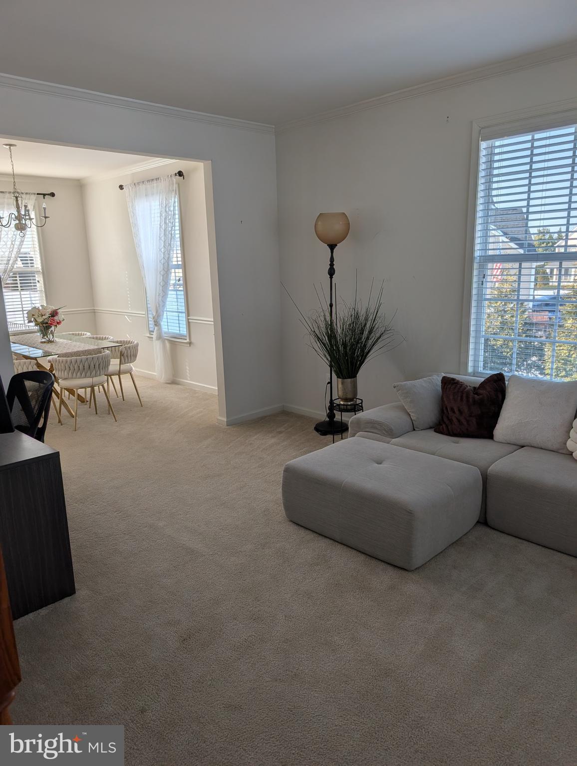 SENECA RIDGE - Residential