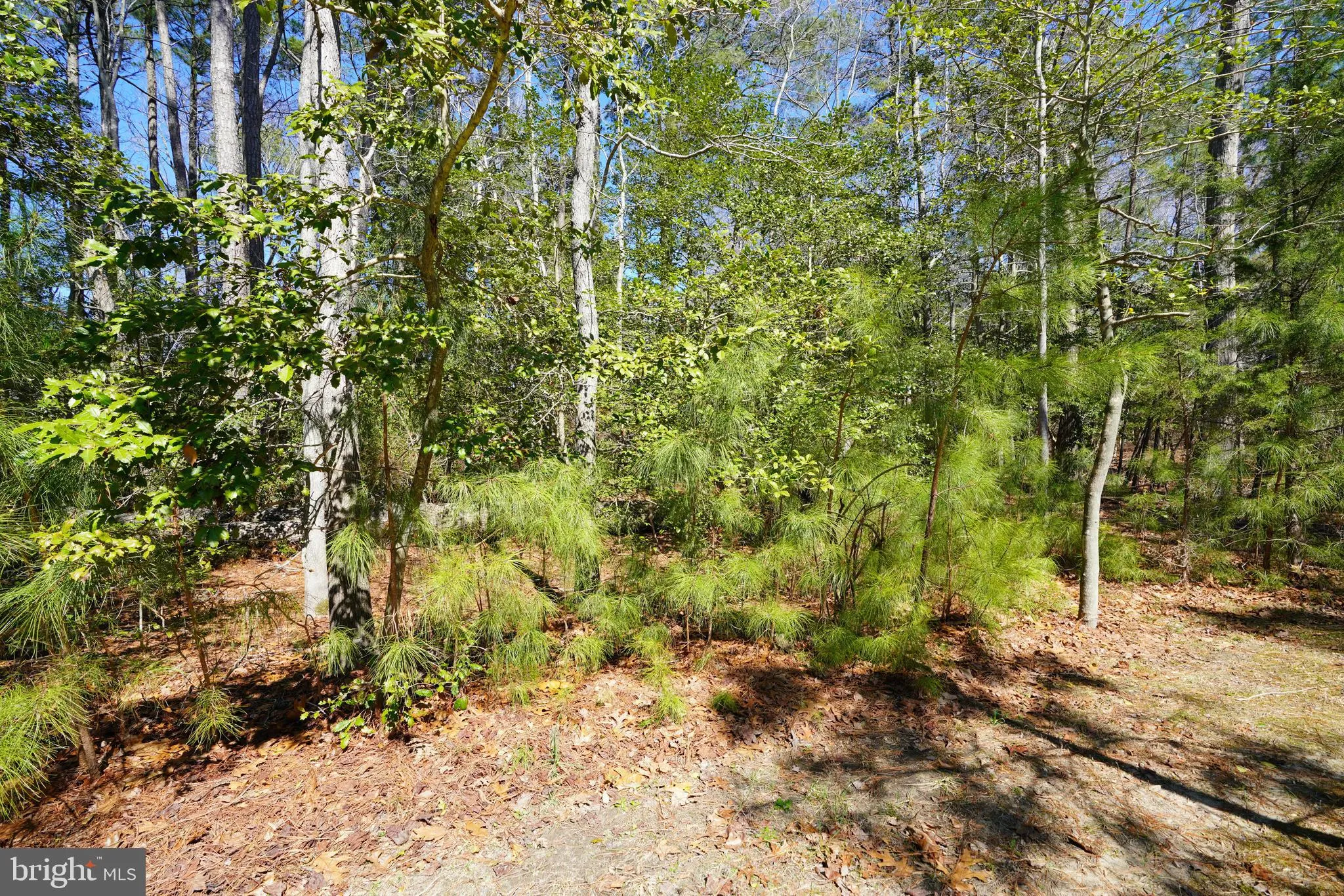 Lewes, Delaware 19958, United States, 3 Bedrooms Bedrooms, ,2 BathroomsBathrooms,Residential,Active,93292