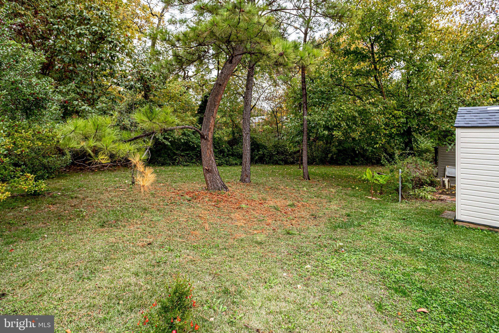 LONG BRANCH - Residential