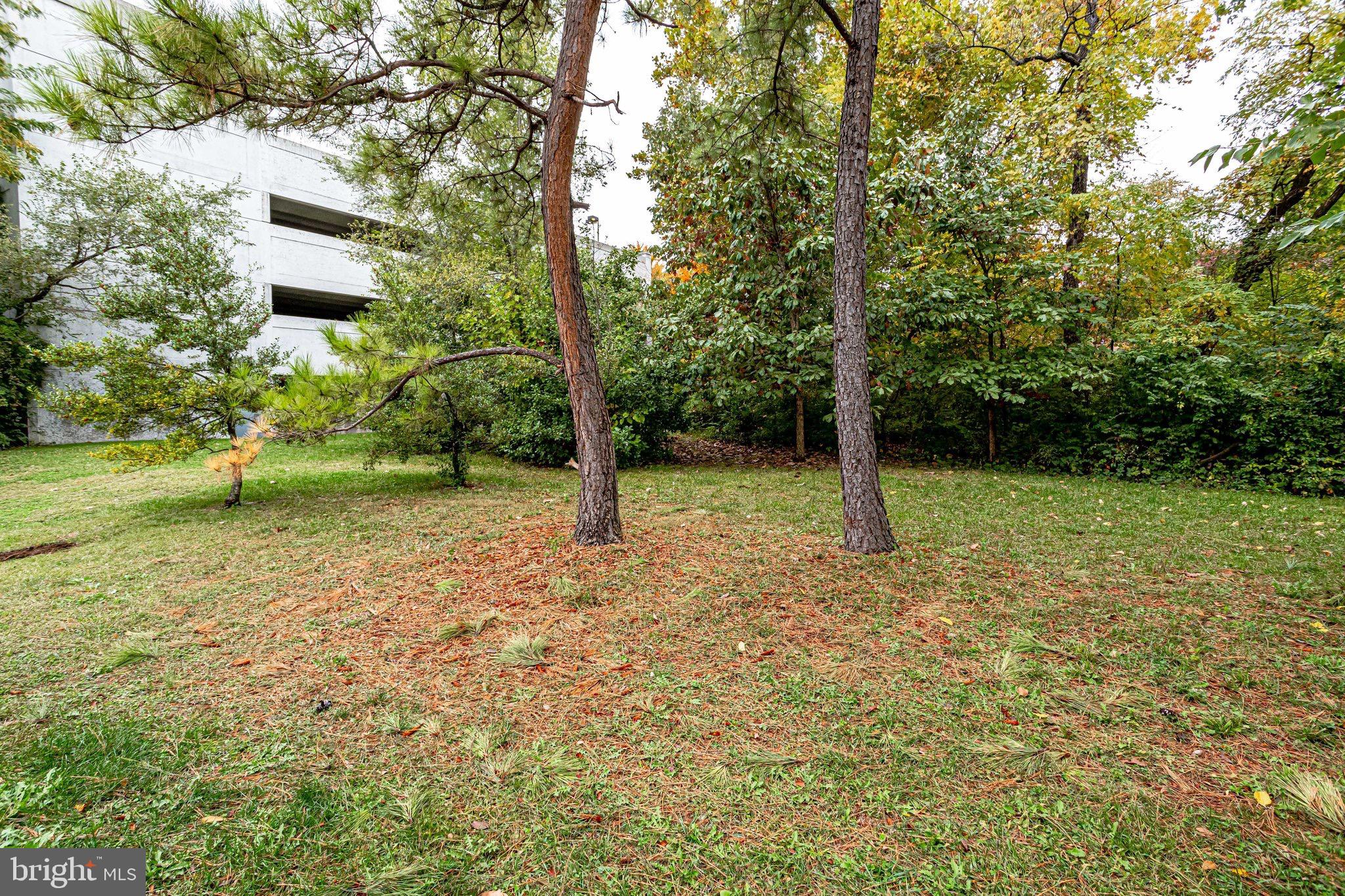 LONG BRANCH - Residential