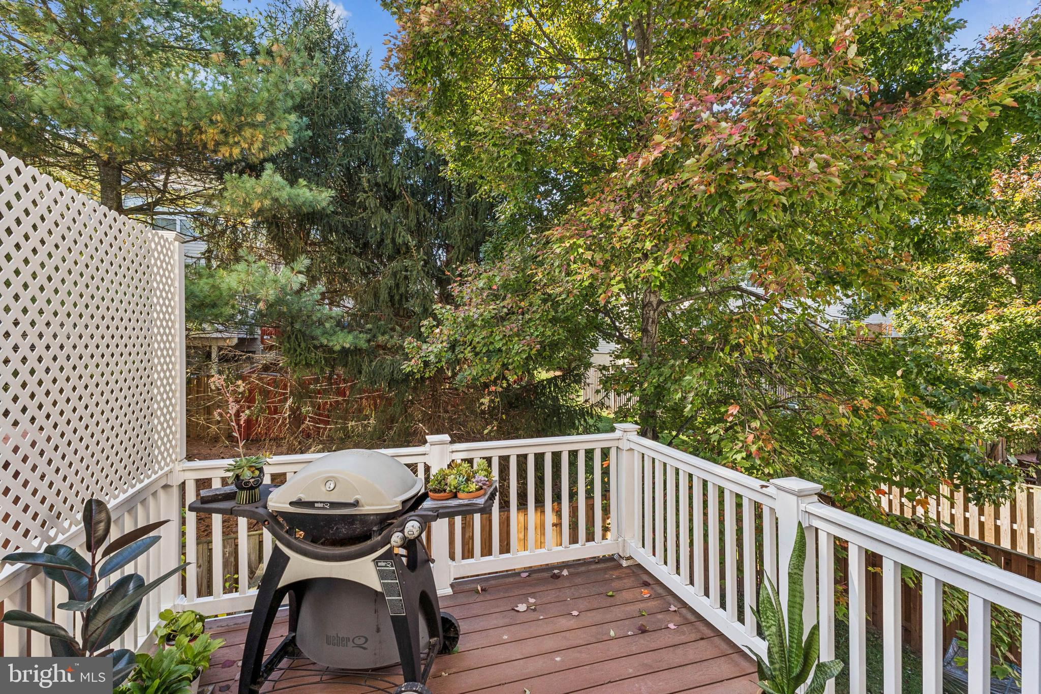 POTOMAC STATION - Residential Lease