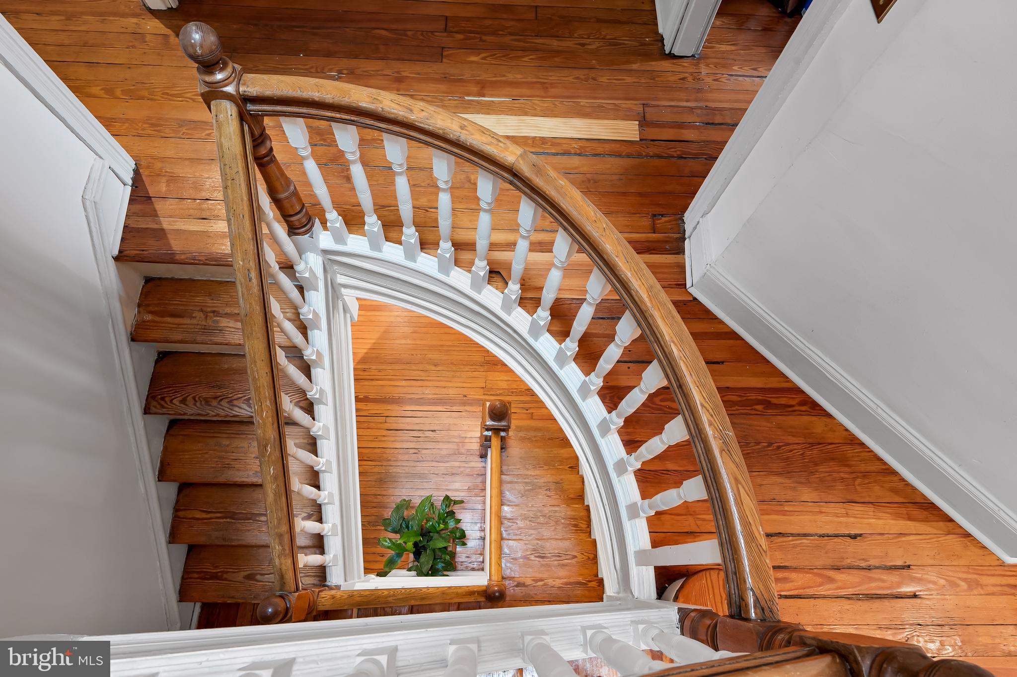 MOUNT ROYAL TERRACE - Residential