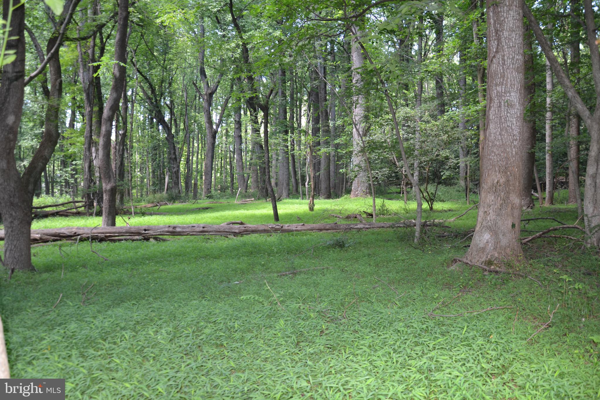 NONE AVAILABLE - Land