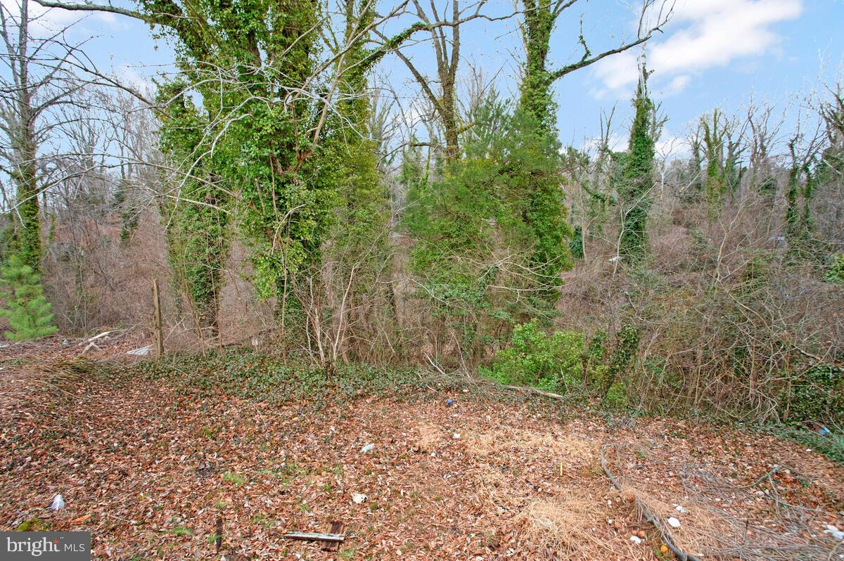 HOLLYWOOD SHORES - Residential