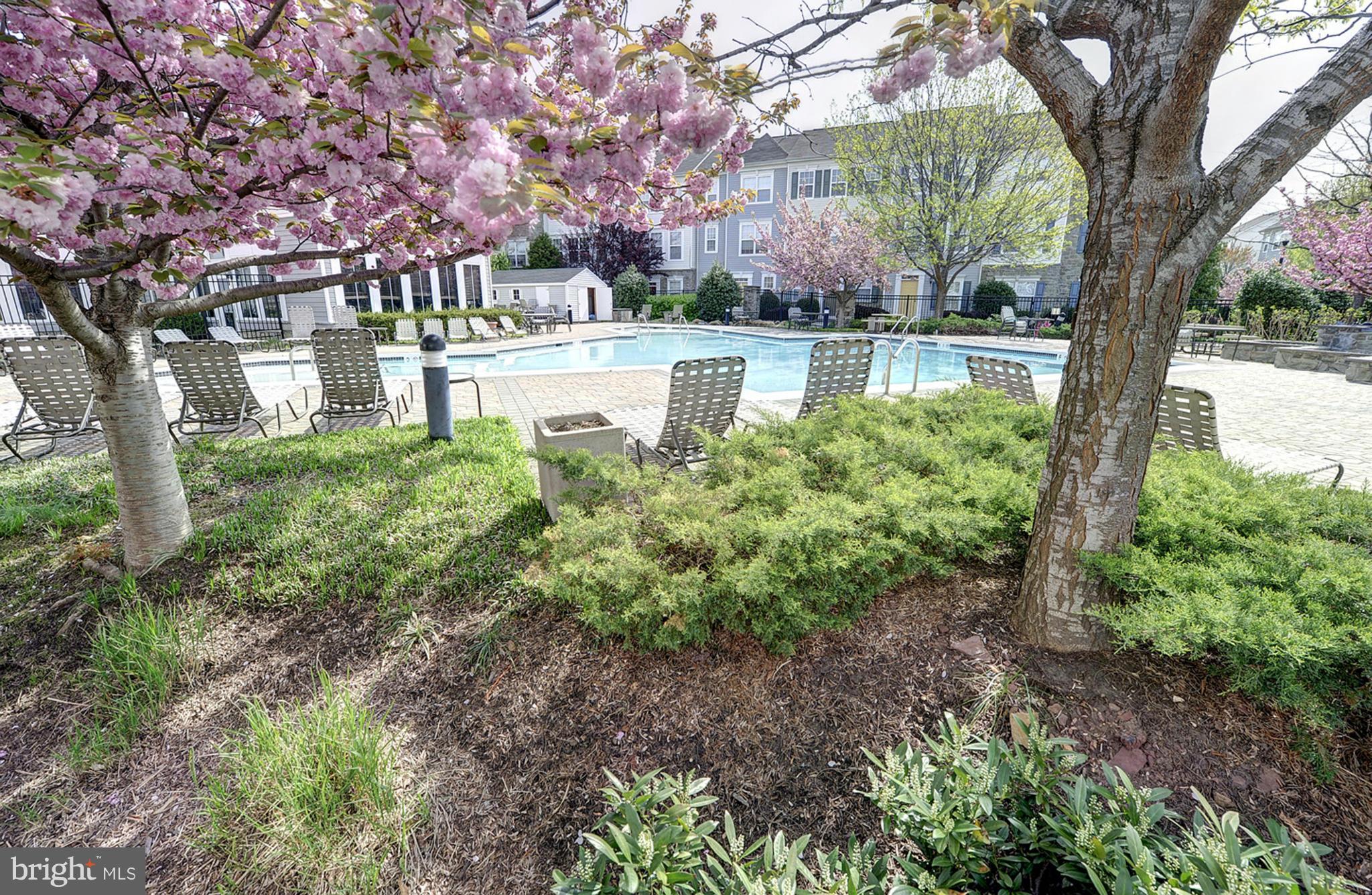 PARKSIDE AT ASHBURN - Residential