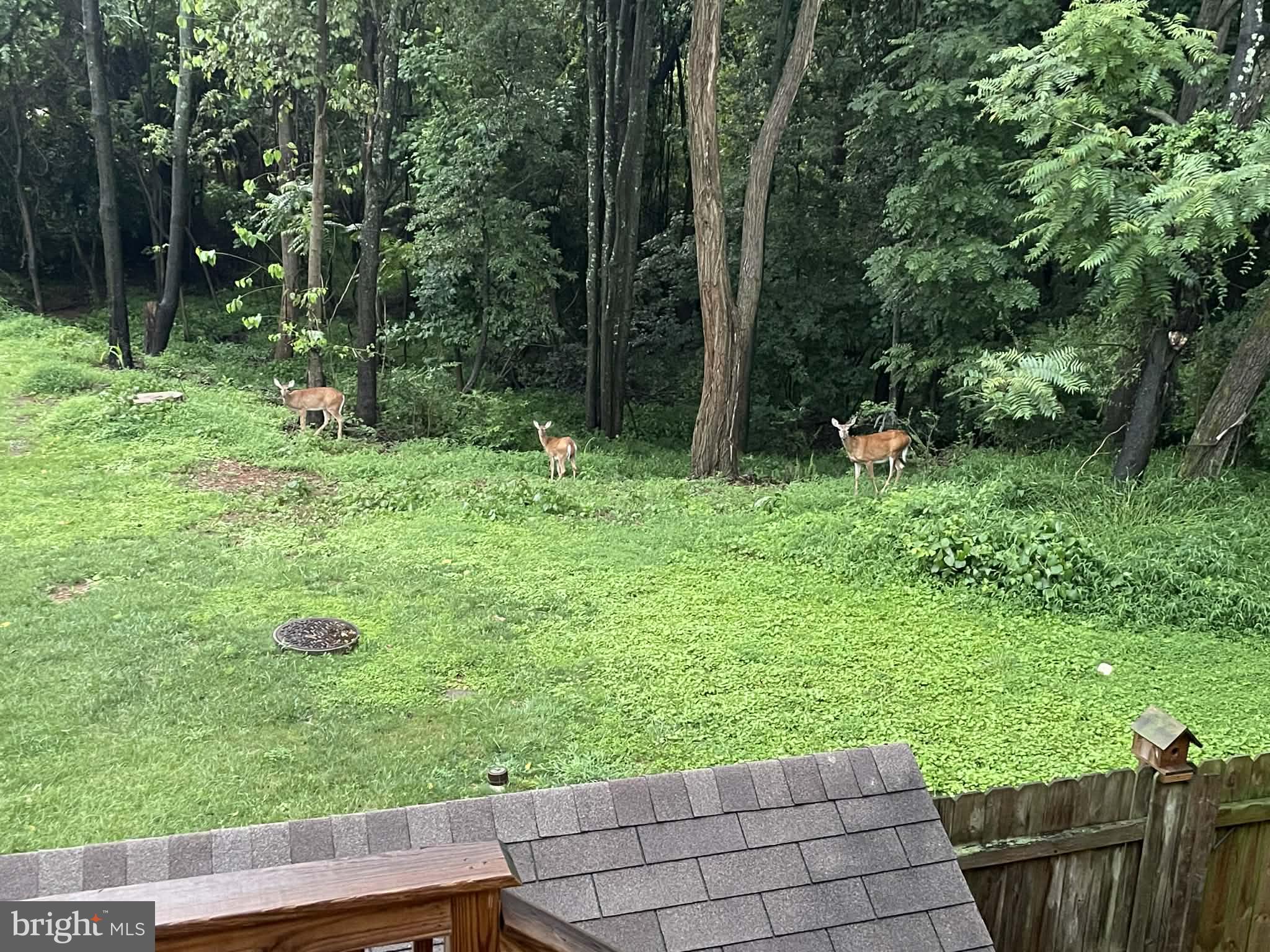 998 JESSICAS COURT 2