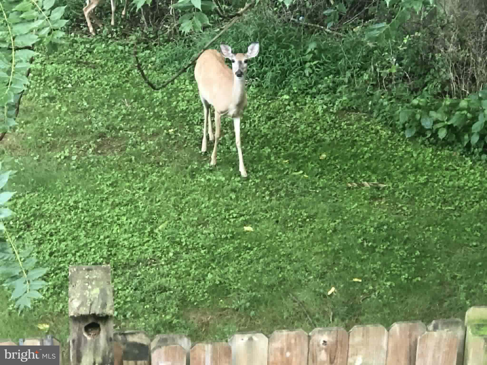 BRENTWOOD MANOR - Residential