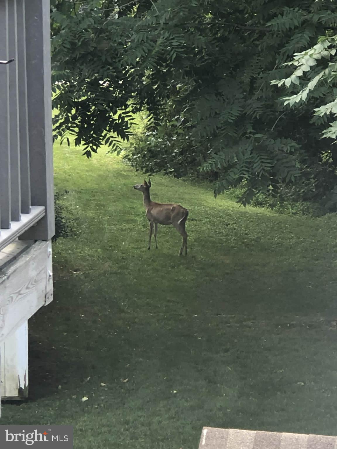 BRENTWOOD MANOR - Residential