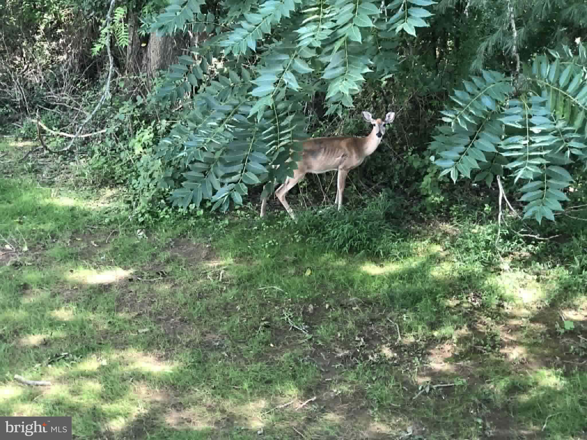 BRENTWOOD MANOR - Residential