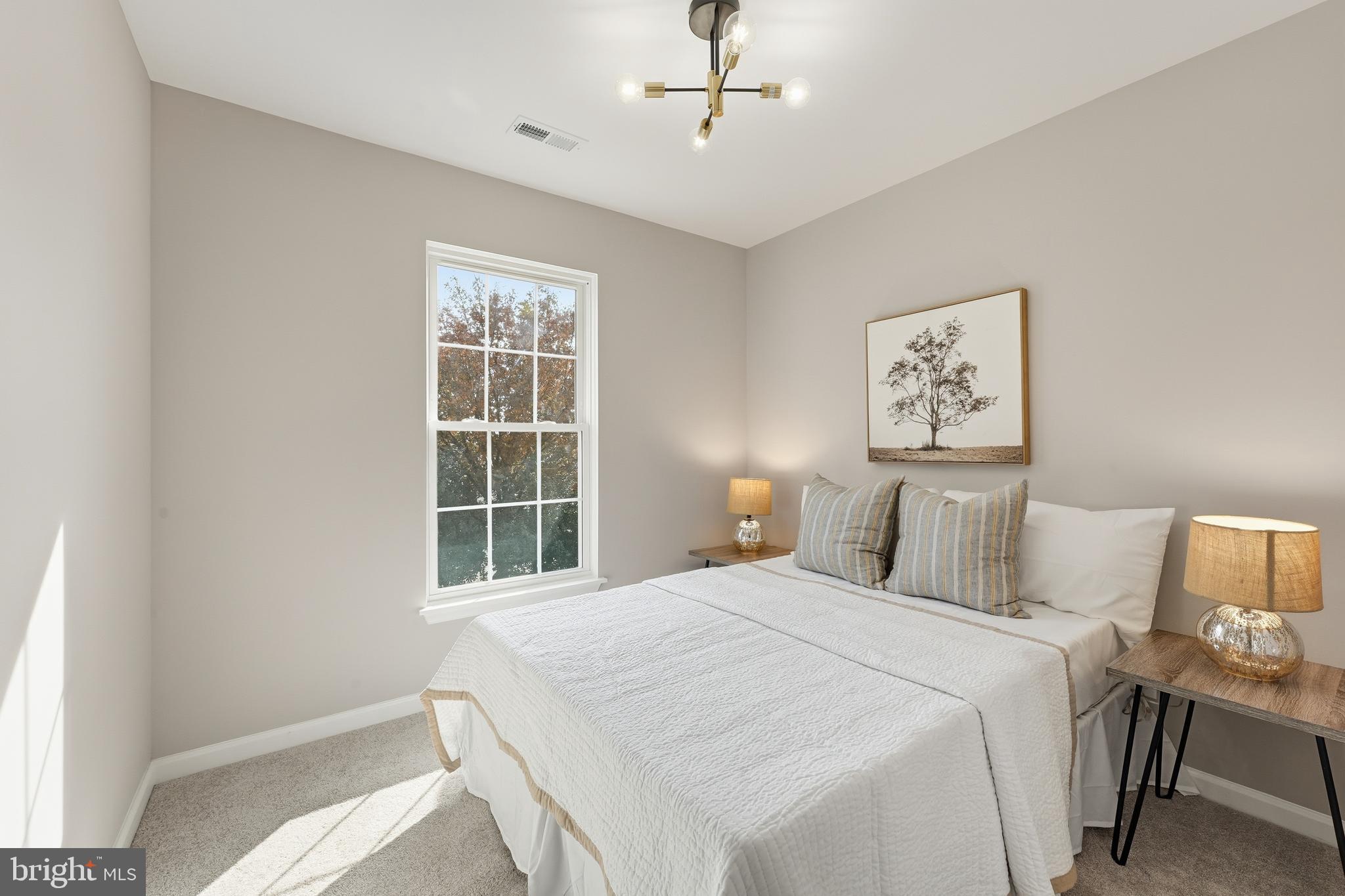 PRINCETON WOODS - Residential