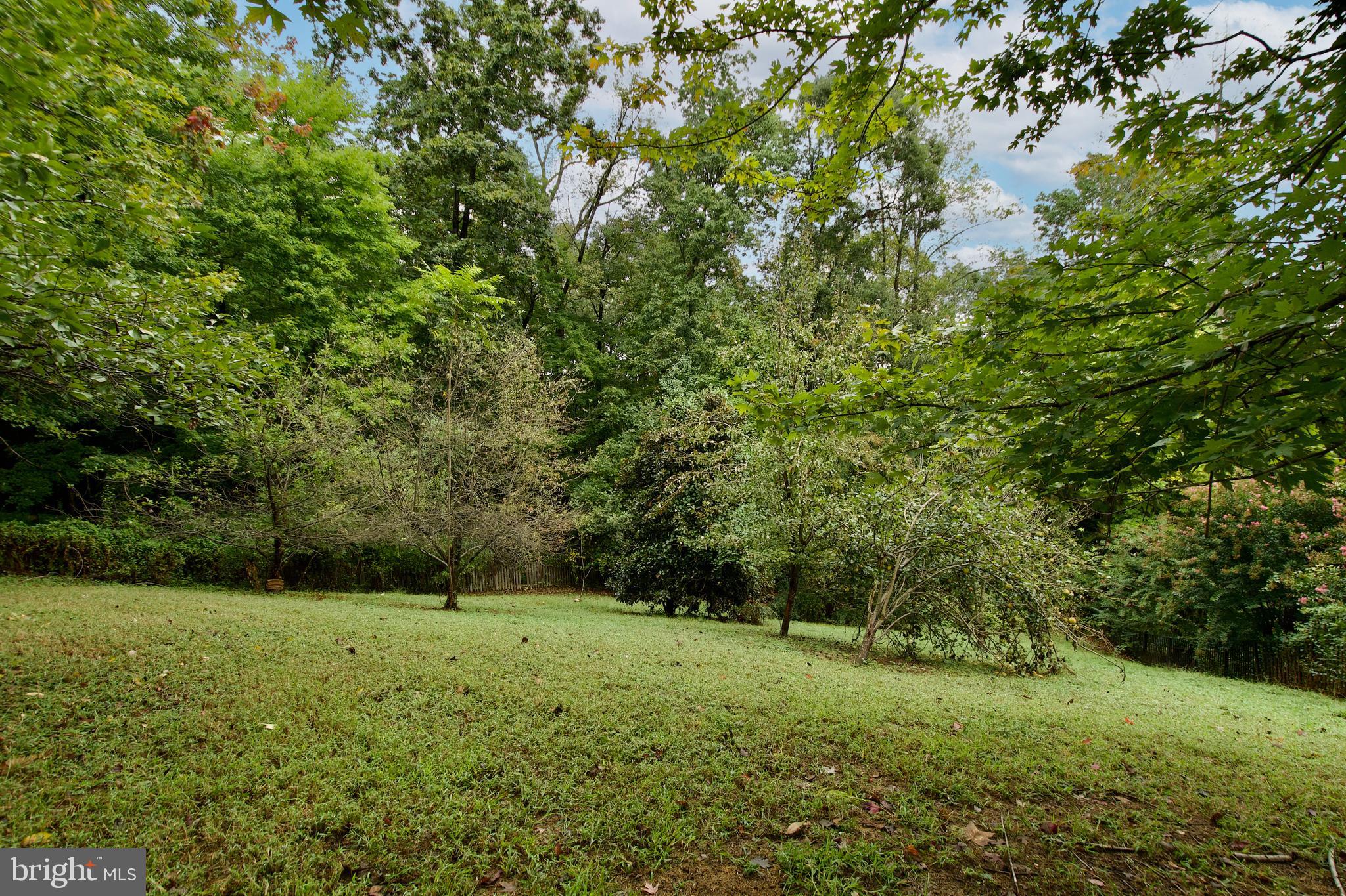 DAWSON LANDING - Residential