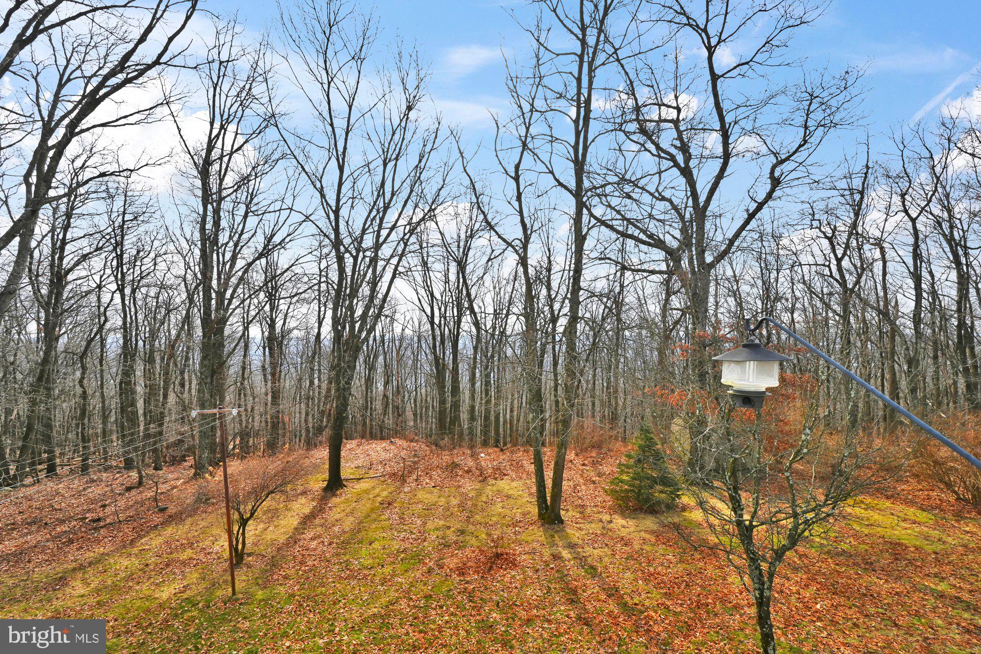 SHENANDOAH HEIGHTS - Residential